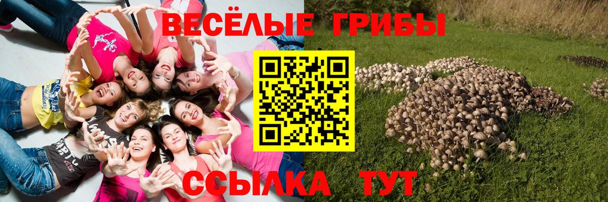 Донецк  Галлюциногенные грибы MAGIC MUSHROOMS  Вход с VPN 